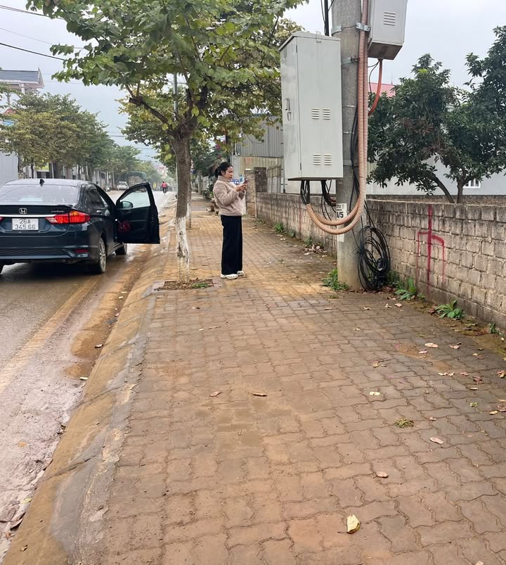 Đất nền khu du lịch rừng thông Bản Áng Mộc Châu 231m² giá 700 triệu - Cơ hội đầu tư lý tưởng!