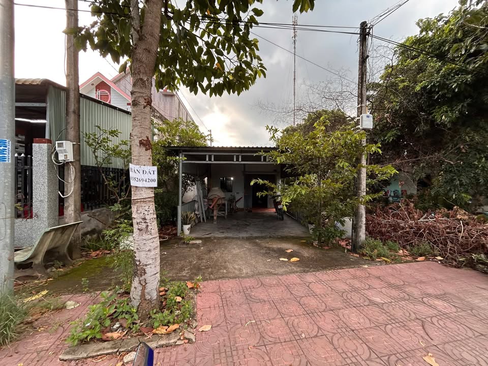 Đất nền mặt tiền đường nhựa Duyên Hải 360m² giá chỉ 1.1 tỷ - Cơ hội đầu tư tuyệt vời!