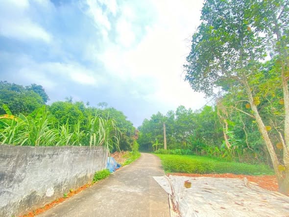 Đất nền Thái Nguyên 388.2m² giá 3.5 tỷ - Mặt tiền 10m, thương lượng ngay!