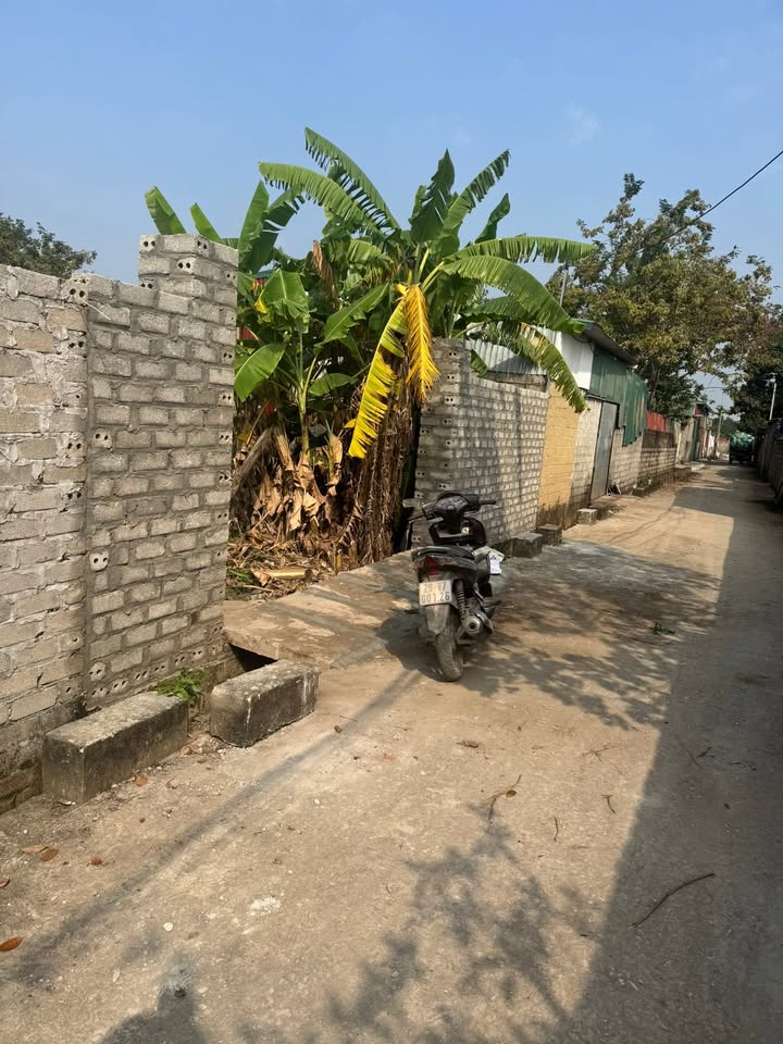 Đất vườn Sài Sơn Quốc Oai 500m² - Đầu tư sinh lời, nghỉ dưỡng lý tưởng!