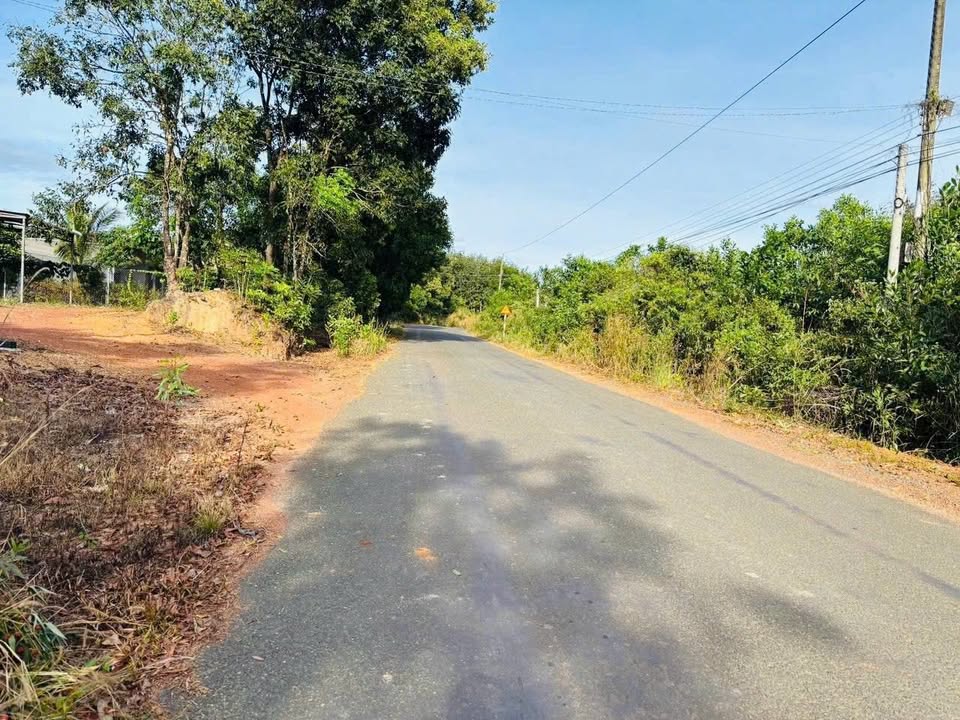 Đất nền Tân Phước 8600m² giá 2 tỷ - Cơ hội đầu tư sinh lời!