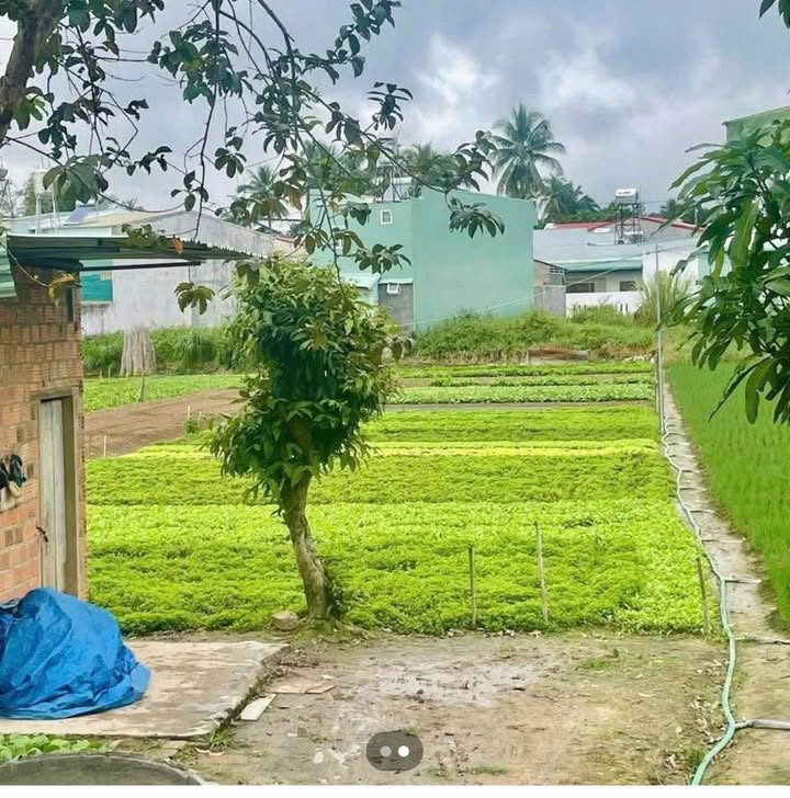 Đất nông nghiệp Kon Tum 840m² giá 900 triệu - Đường rộng ô tô vào tận nơi!