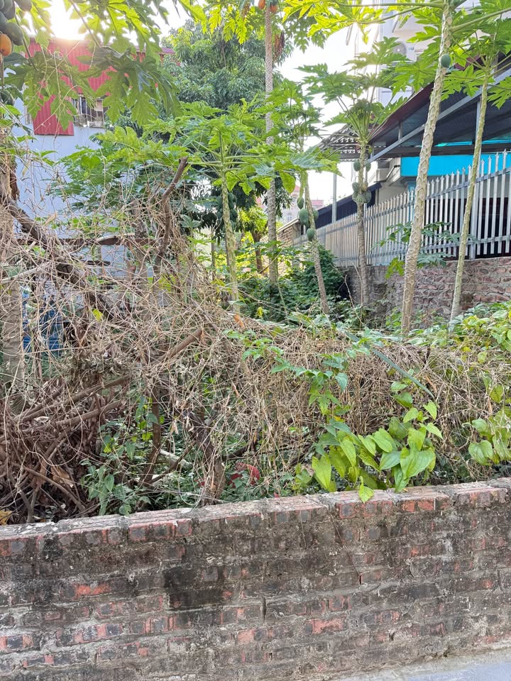 Đất nền Kim Chung, Đông Anh 76m² giá 5 tỷ - Đầu tư sinh lời ngay!