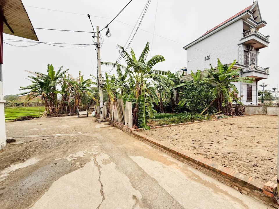 Đất nền mặt phố Đường Nhạn, Xuân Nộn, Đông Anh 46m² giá 3 tỷ - Đầu tư sinh lời ngay!