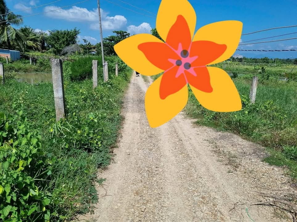 Đất lô góc 2 mặt tiền Thôn 2 Hàm Liêm 3600m² - Sổ đỏ chính chủ, giá thỏa thuận!