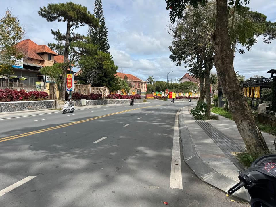 Đất đẹp đường Lê Hồng Phong Đà Lạt 714m² giá 35 tỷ - View rừng thông tuyệt đẹp!