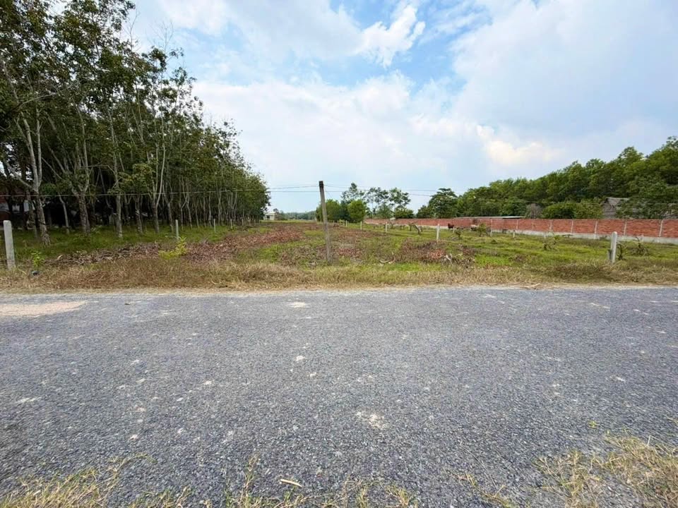 Đất vườn Long Thuận Bến Cầu 2017m² giá 1.5 tỷ - Cơ hội đầu tư hấp dẫn!