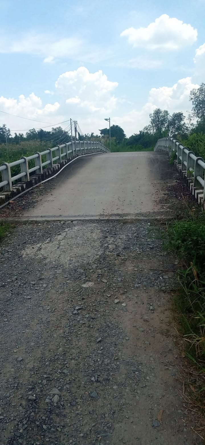 Đất nông nghiệp Bến Lức Long An 4756m² giá 2.4 tỷ - Cơ hội đầu tư sinh lời!