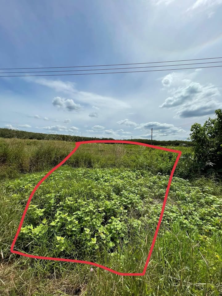 Đất nền 1118m² tại xã Long Hòa, Dầu Tiếng - Giá 600 triệu, cơ hội đầu tư hấp dẫn!