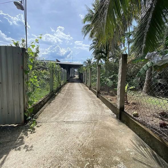 Đất ở xã Mỹ Thạnh An Bến Tre 480m² - Giá cực tốt, sổ đỏ chính chủ!