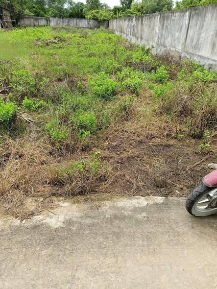 Đất nền tại Trung Tâm thị trấn Bình Đại, Bến Tre 581m² giá 6.3 tỷ - Đầu tư sinh lời ngay!