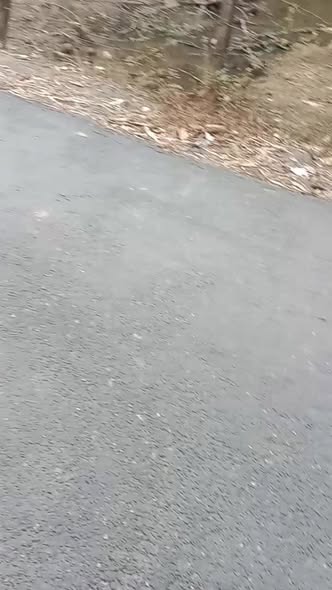 Đất vườn dừa 1400m² tại xã Lộc Thuận, Bình Đại - Giá chỉ 120 triệu/m ngang!