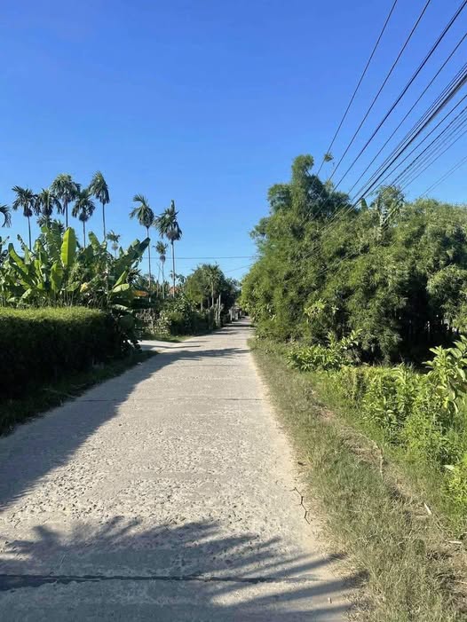 Đất nền Tân Xuân Lai, Quảng Thọ 128m² giá 500 triệu - Sổ đỏ chính chủ!