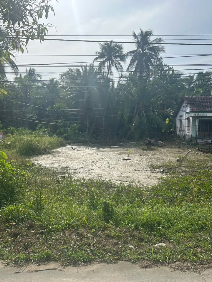 Đất nền Phước Hiệp, Mỏ Cày Nam 217m² - Giá rẻ, gần chợ và trường học!