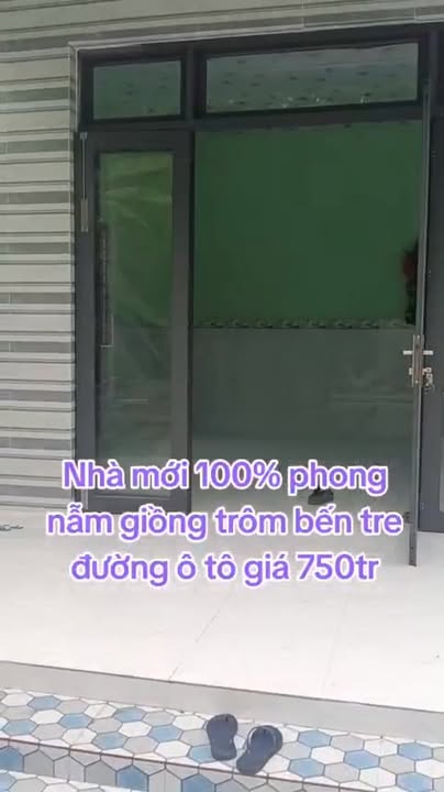 Đất nền Phong Nẫm, Giồng Trôm 198m² giá chỉ 730 triệu - Cơ hội đầu tư tuyệt vời!
