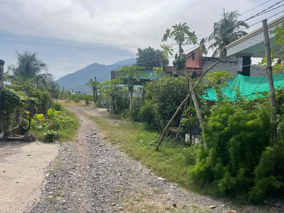 Đất LUK Thạnh Tân Tây Ninh 10.000m² giá 648 triệu - Đầu tư sinh lời ngay!