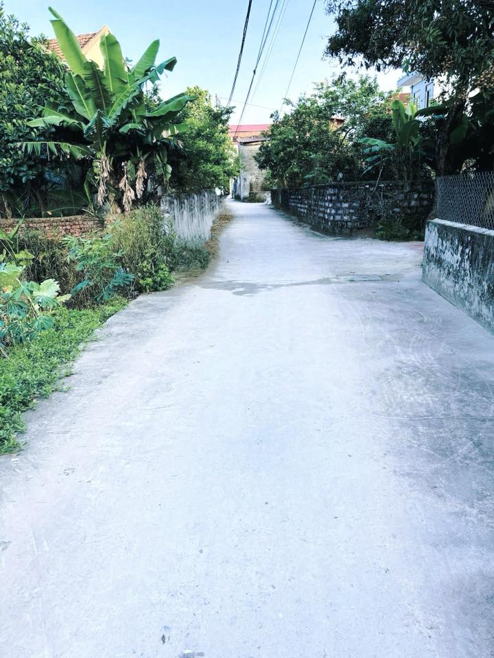 Đất nền Tân Minh, Ý Yên, Nam Định 180m² - Đường ô tô chạy thông thuận tiện!