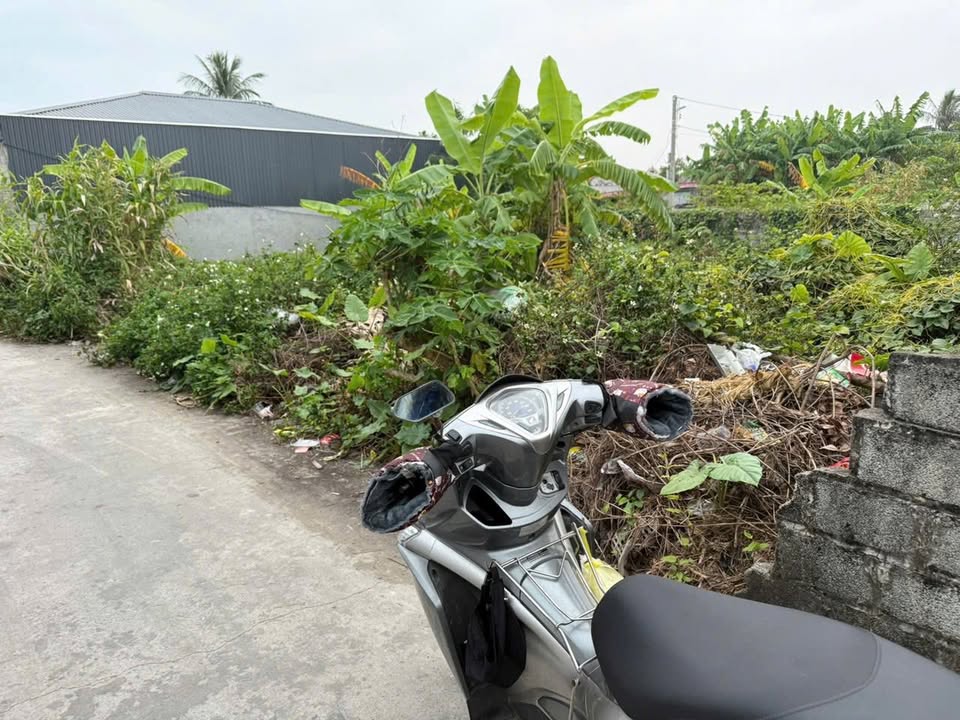 Đất nền Bàng Thượng, Đồ Sơn 61,7m² giá 800 triệu - Cơ hội an cư lý tưởng!