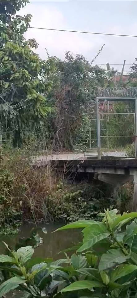 Đất nền Phường 5 Cai Lậy 1800m² giá 1.6 tỷ - Cơ hội đầu tư tuyệt vời!