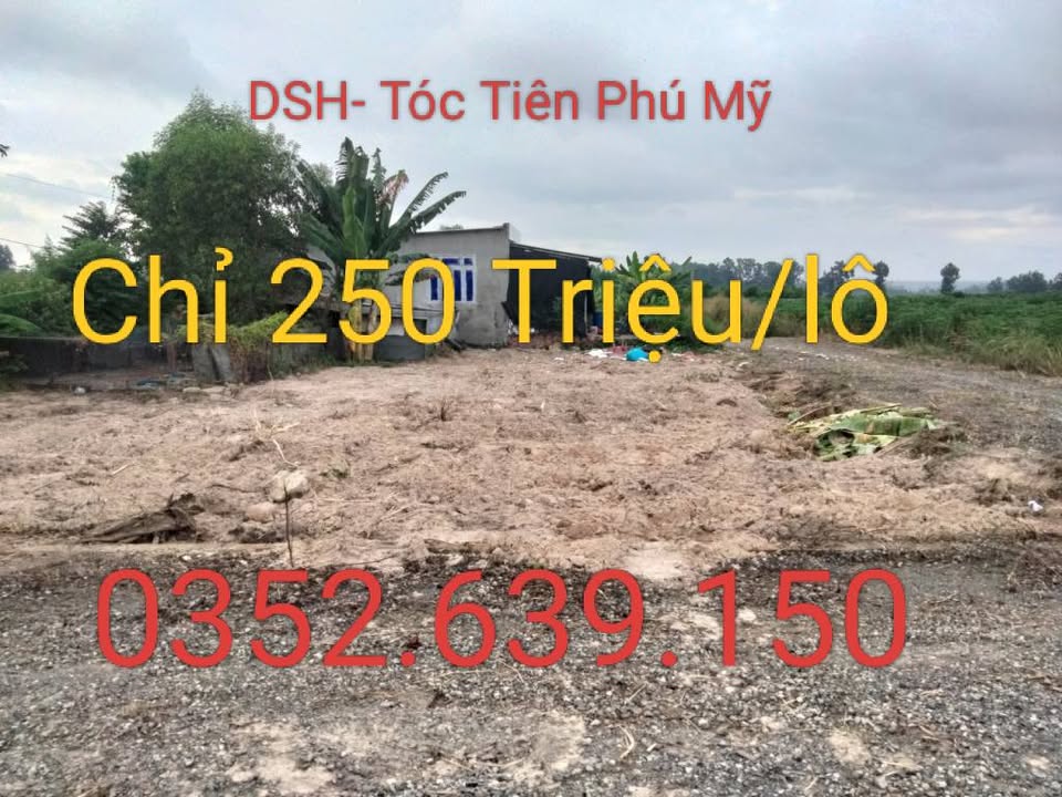 Đất nền Tóc Tiên, Phú Mỹ, 100m² giá chỉ 250 triệu - Cơ hội đầu tư tuyệt vời!