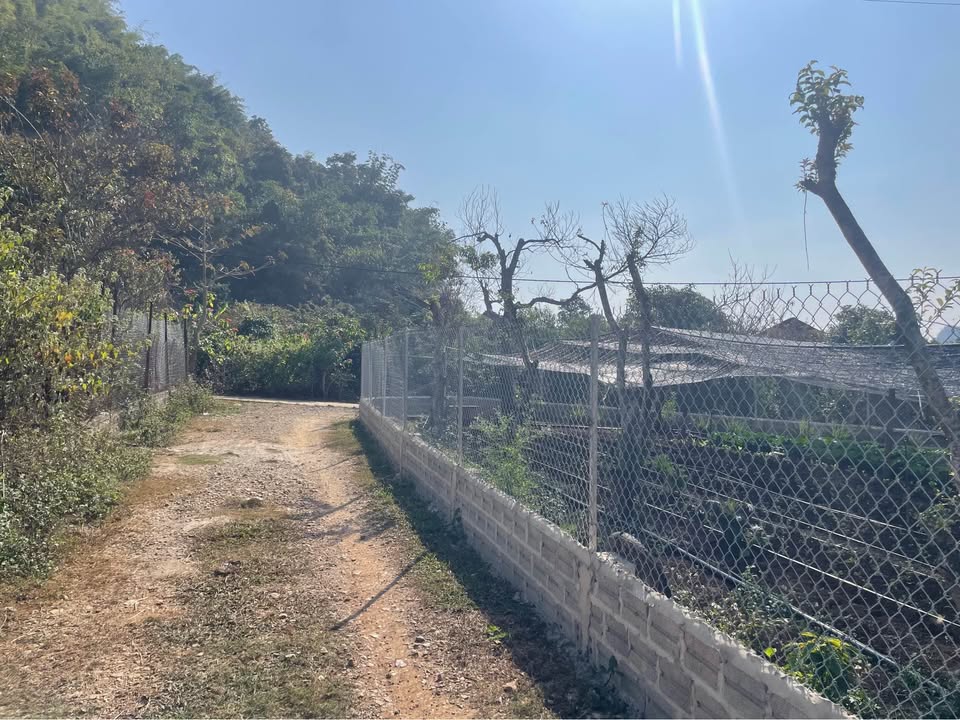 Đất nền Chiềng Ngần, Sơn La 204m² chỉ 300 triệu - Sổ hồng chính chủ, vị trí đắc địa!