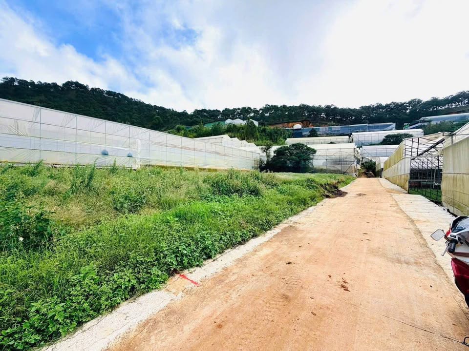 Đất xây dựng Thái Phiên, Đà Lạt 206m² giá 3.915 tỷ - Sổ riêng xây dựng, vị trí đắc địa!