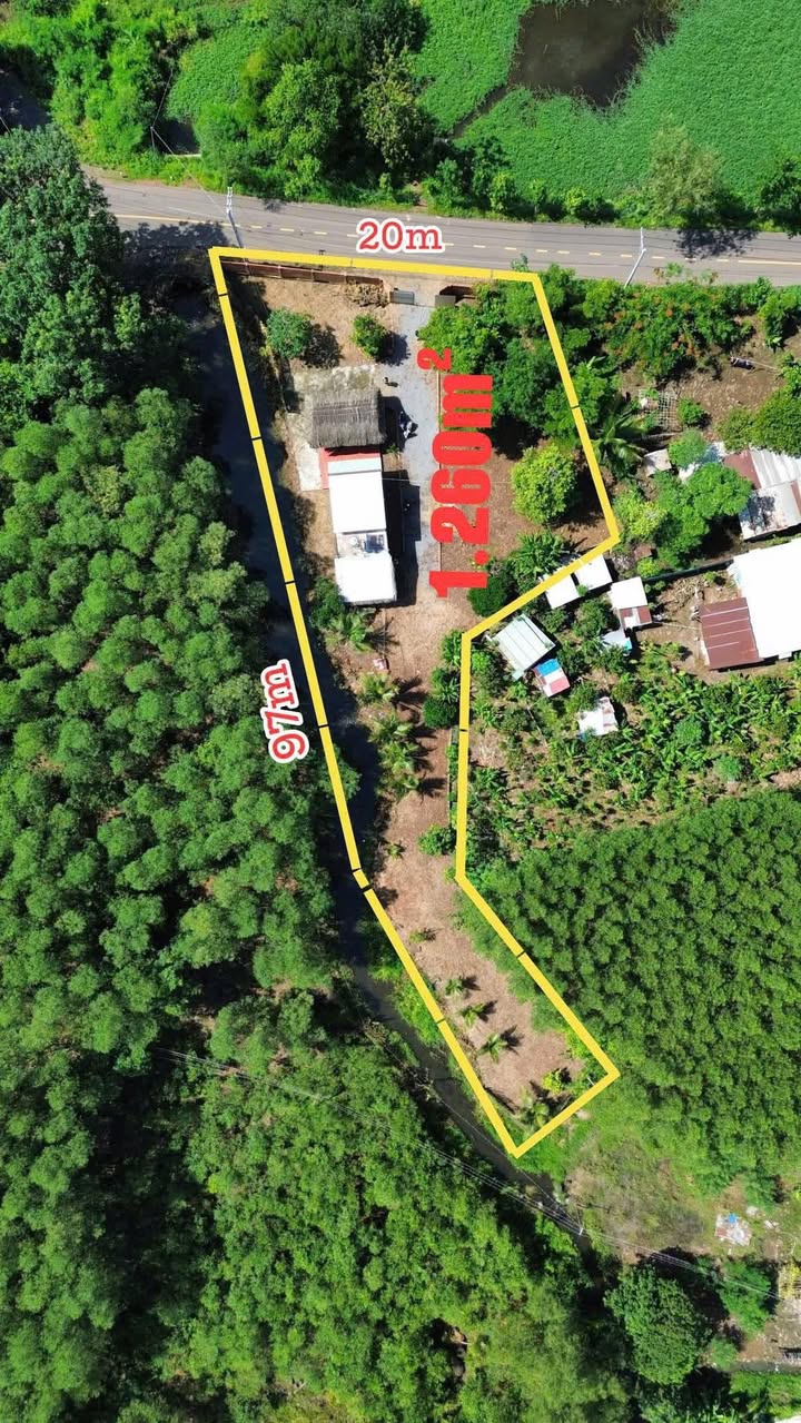 Farm 1200m² xã Sông Thao, Trảng Bom - Giá chỉ 1.55 tỷ, giảm 300 triệu!