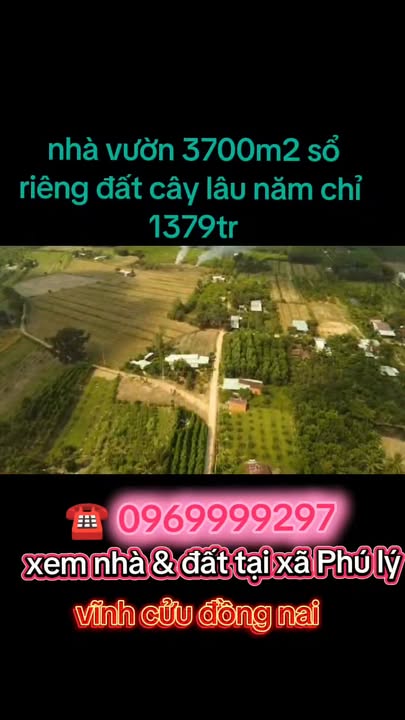 Đất nền 3600m² tại xã Phú Lý, Vĩnh Cửu - Giá chỉ 1.379 tỷ, sổ đỏ chính chủ!