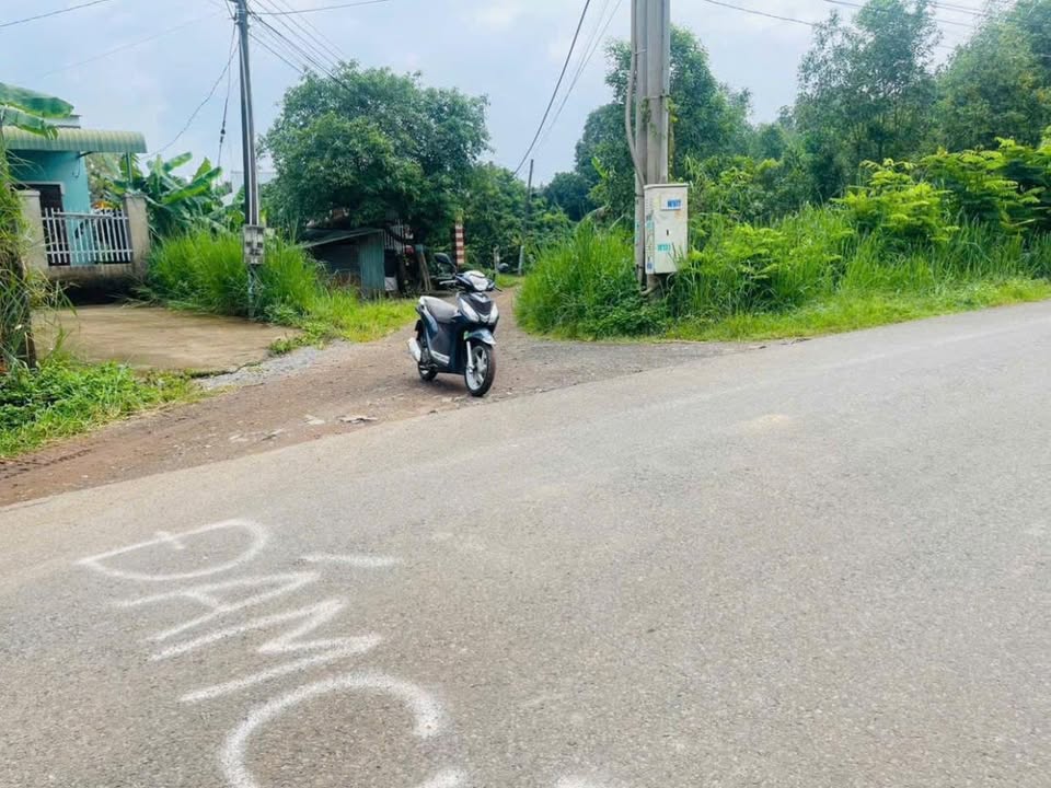 Đất nền 2800m² tại Sông Trầu, Trảng Bom - Giá chỉ 4.3 tỷ, thương lượng!