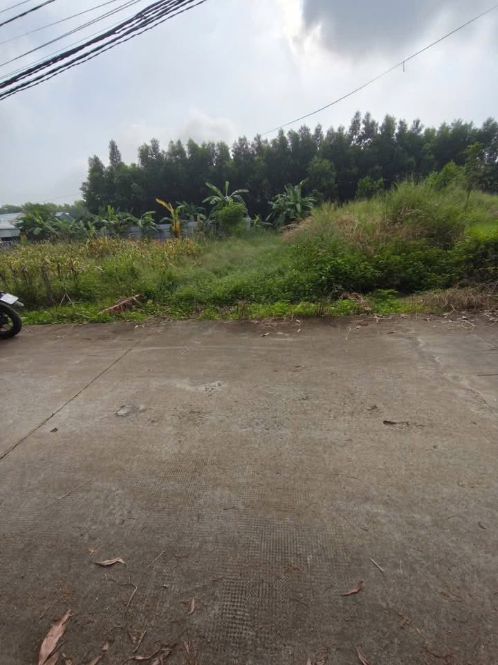 Đất nền ấp 5 Sông Trầu 188m² giá 1.2 tỷ - Sổ đỏ chính chủ