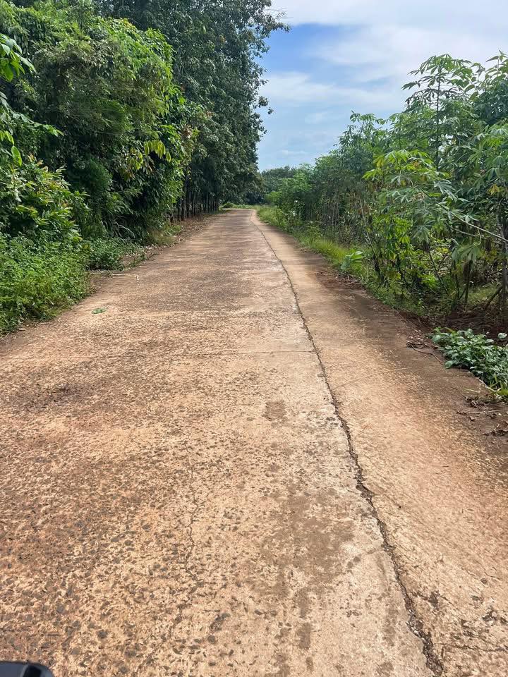 Đất nền Lộc Khánh 260m² giá chỉ 155 triệu - Sổ đỏ chính chủ sẵn sàng!