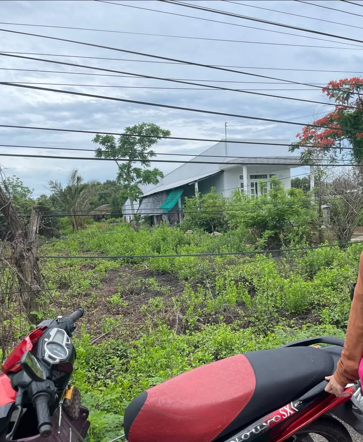 Đất nền Bạc Liêu 250m² giá 550 triệu - Đường Ngô Quyền, cơ hội đầu tư tuyệt vời!