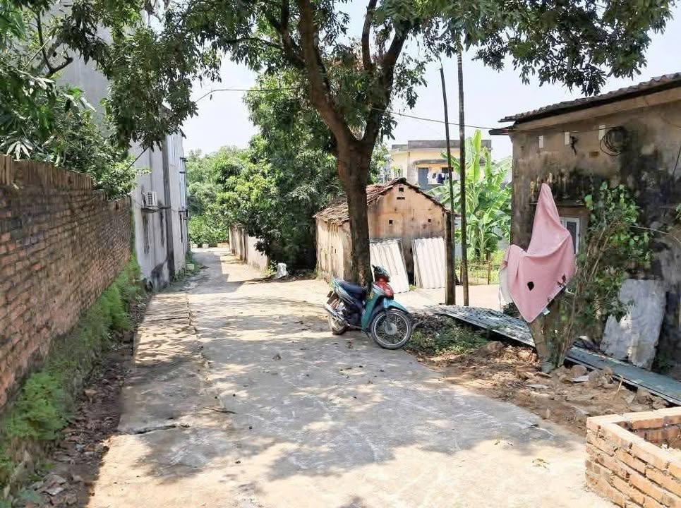 Đất nền thổ cư Hạp Lĩnh, Bắc Ninh 80m² giá 2 tỷ - Đầu tư sinh lời!