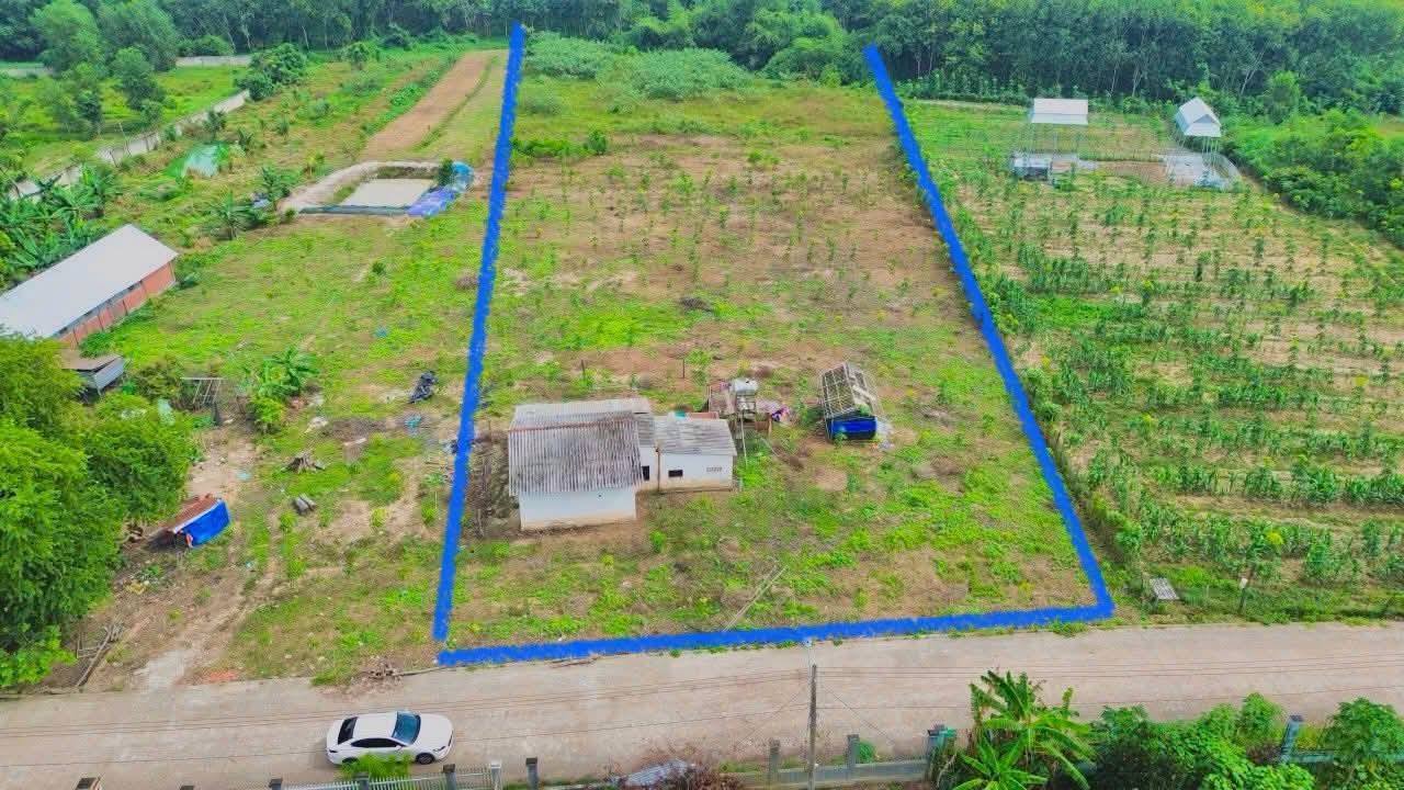 Đất nền Phú Giáo Bình Dương 9500m² giá 6 tỷ - Cơ hội đầu tư hấp dẫn!