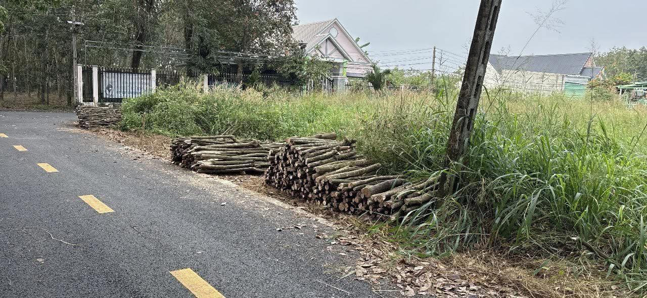 Đất nền Phước Hòa, Phú Giáo 270m² giá 1.7 tỷ - Vị trí đẹp, giao thông thuận lợi!