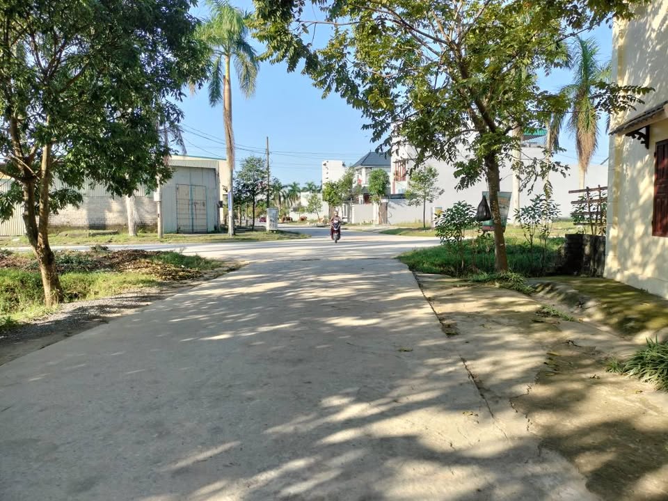 Đất nền Tân Phong, Thanh Hóa 222m² - Đầu tư sinh lời ngay!