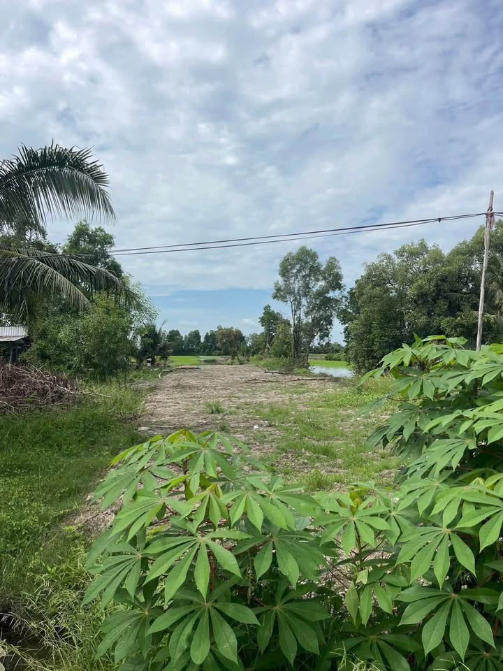 Đất nền thổ cư Lý Văn Lâm 350m² giá 500 triệu - Đầu tư sinh lời ngay!