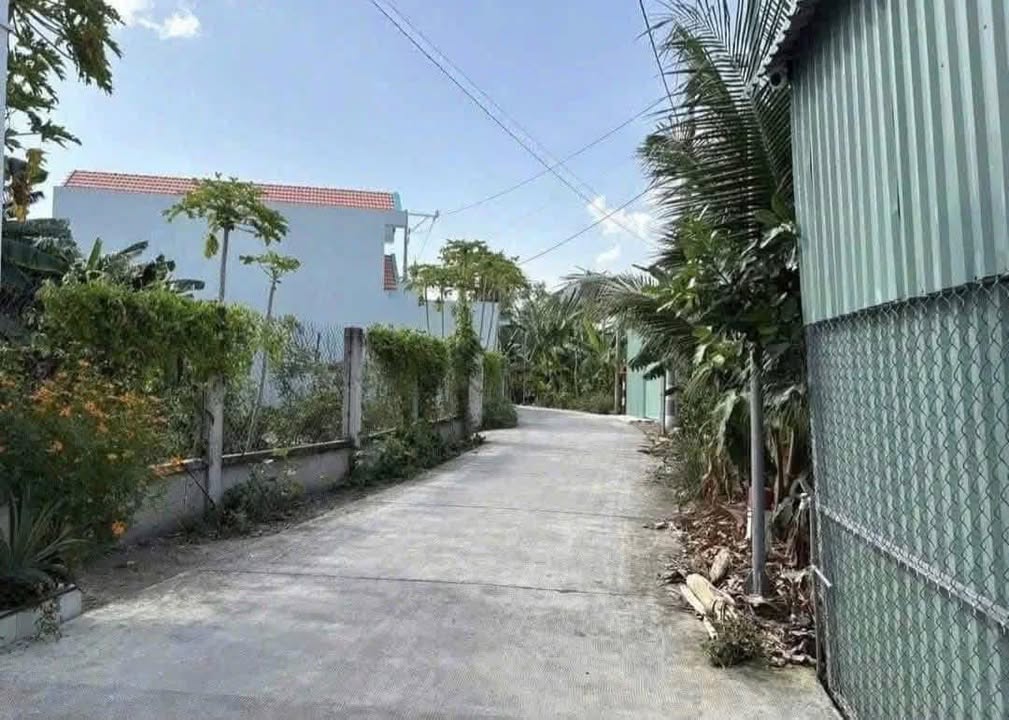 Đất thổ cư thị trấn Bến Lức 100m² giá 950 triệu - Đầu tư sinh lời tiềm năng!