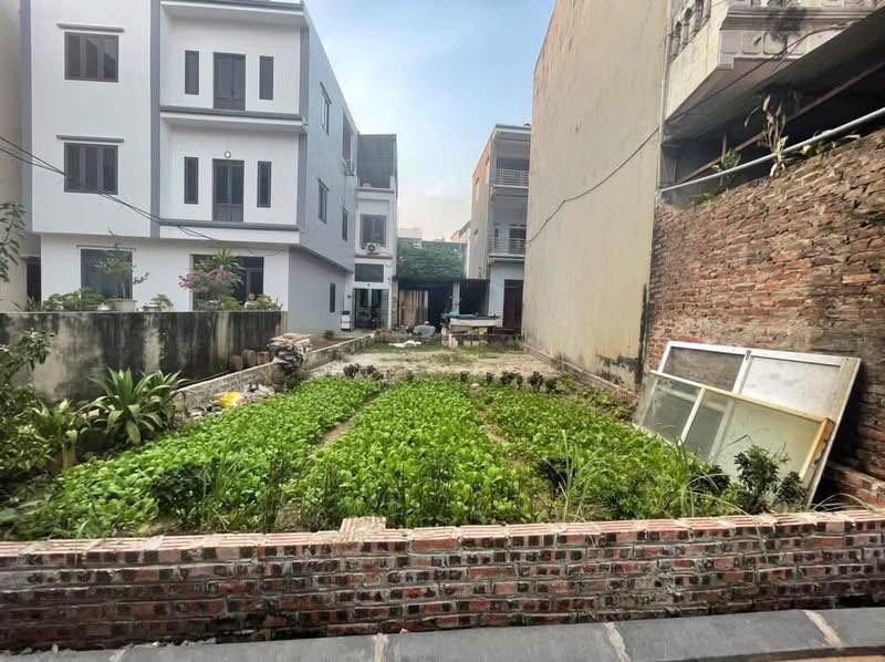 Đất Vĩnh Ngọc 56.5m² giá 6 tỷ - Ô tô vào tận đất, gần cầu Nhật Tân!