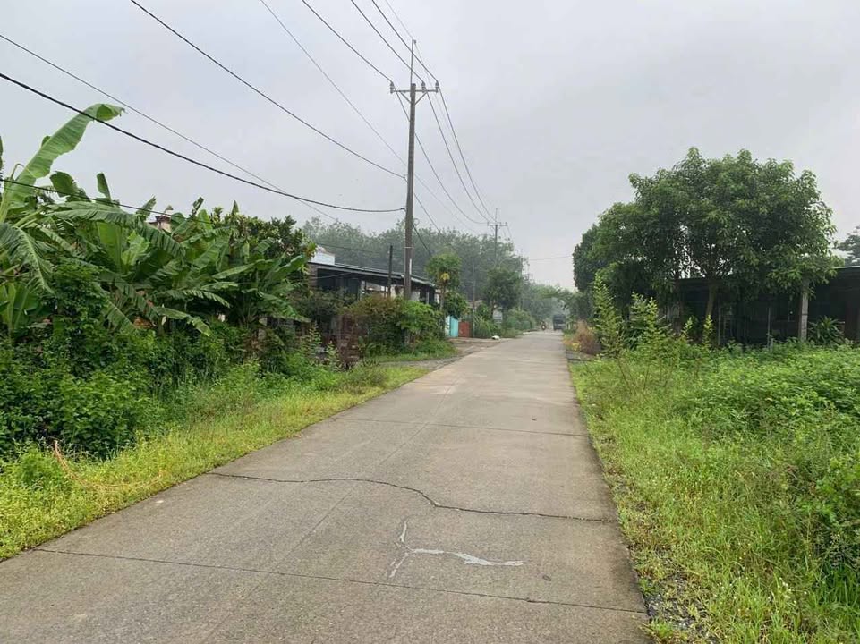 Đất tặng nhà cấp 4 xã Nhuận Đức, Củ Chi 145m² giá 1.65 tỷ - Cơ hội đầu tư tuyệt vời!