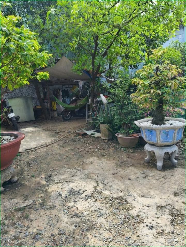 Đất mặt tiền Võ Thị Hồi, Hóc Môn 4000m² - Đầu tư sinh lời ngay!