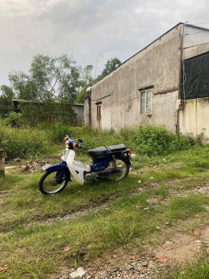 Đất nền Tân Thạnh Đông Củ Chi 118.45m² giá 1.95 tỷ - Đầu tư sinh lời ngay!