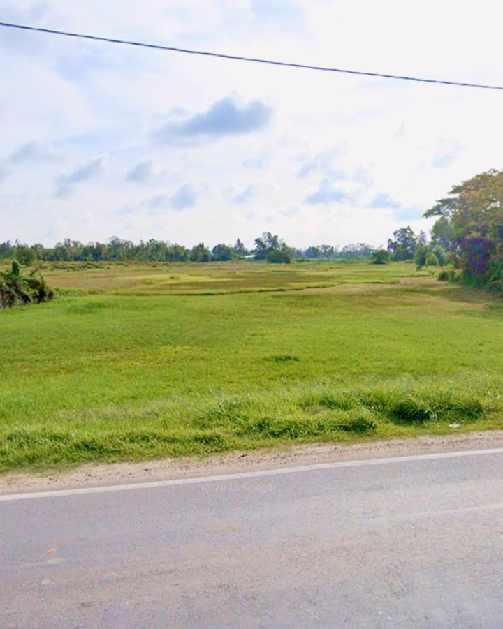 Đất mặt tiền Tỉnh Lộ 15, Củ Chi, 4292m² - Kinh doanh kho xưởng VIP, giá tốt!