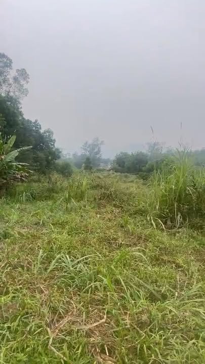 Lô đất 3.109m² tại xã Thành Công, TP. Phổ Yên - Tiềm năng tăng giá cao!