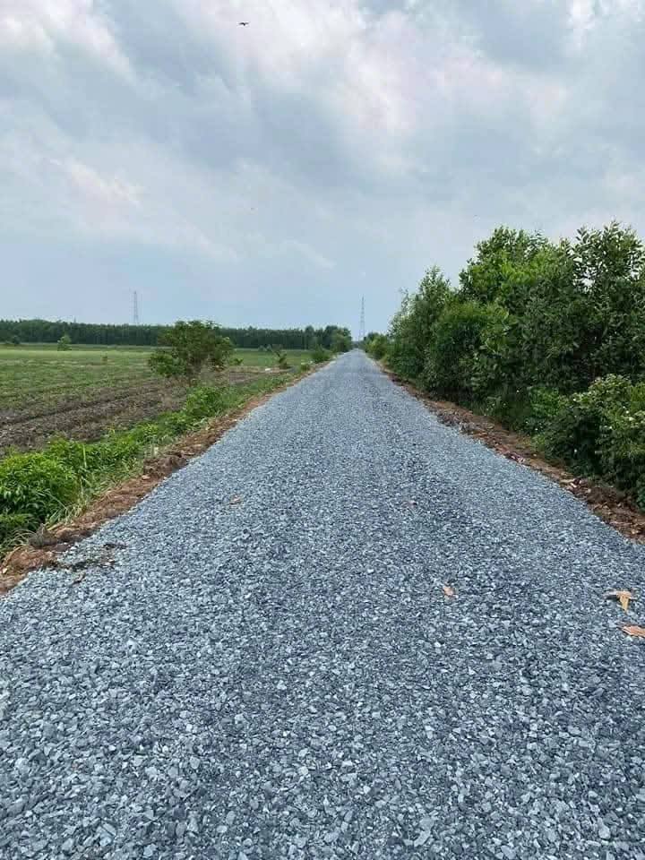 Đất vườn 1000m² Tân Thành, Thủ Thừa - Phù hợp làm farm, giá tốt thương lượng!