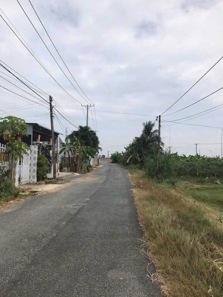 Đất mặt tiền Trần Văn Ngà, Xã An Vĩnh Ngãi, 207m² giá 2.25 tỷ - Đầu tư sinh lời lâu dài!