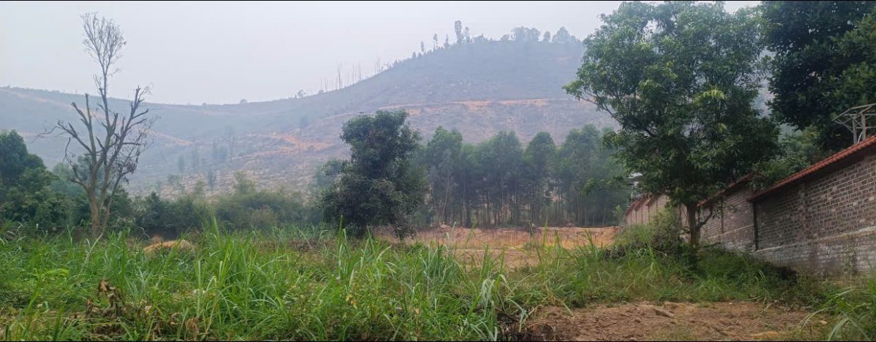 Đất nền Minh Đức, Việt Yên 2000m² giá 6 tỷ - Đầu tư lý tưởng cho tương lai!