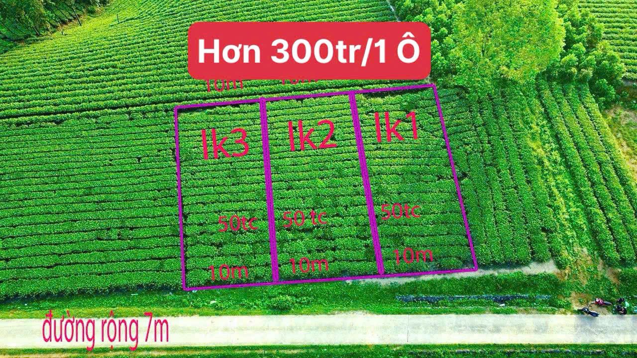 Đất nền Võ Miếu Thanh Sơn 300m² giá 300 triệu - Tiềm năng đầu tư cao!