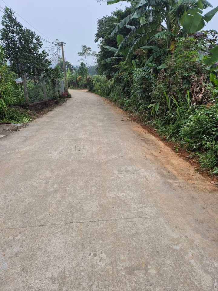 Đất Farm Khánh Thượng, Ba Vì 9000m² - Tiềm năng nghỉ dưỡng lý tưởng!