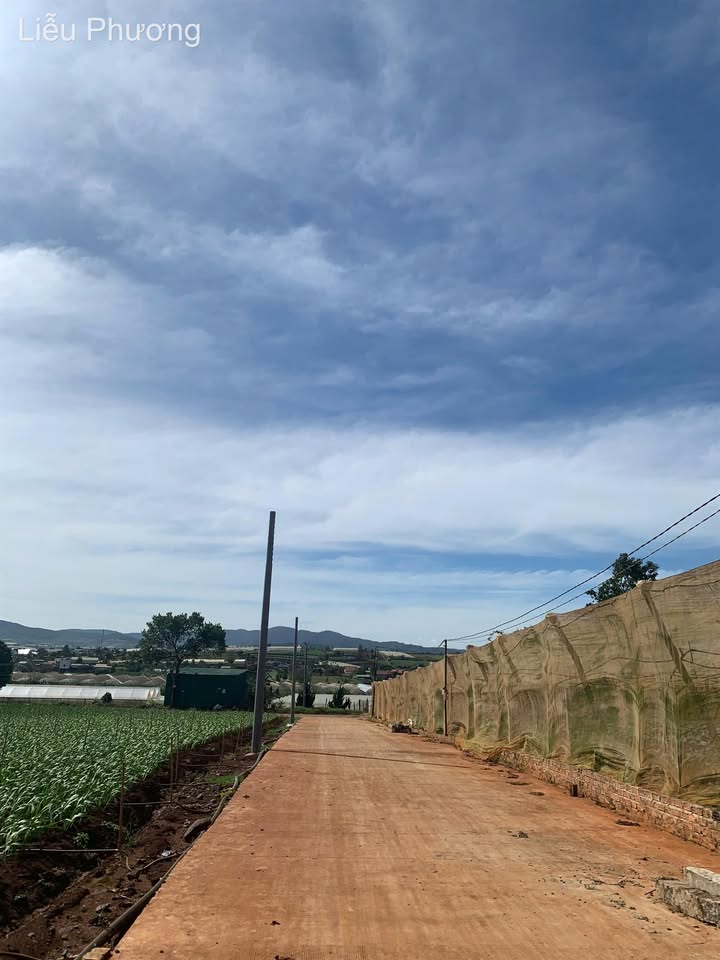 Lô đất Đạ Ròn 72m² giá 940 triệu - Đầu tư sinh lời ngay!